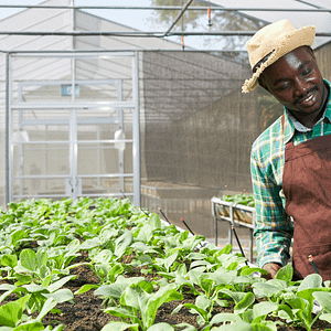 sustainable, youth-led agricultural innovation