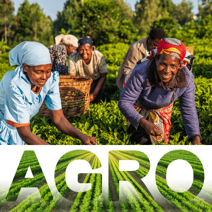 Women in Agro-Processing